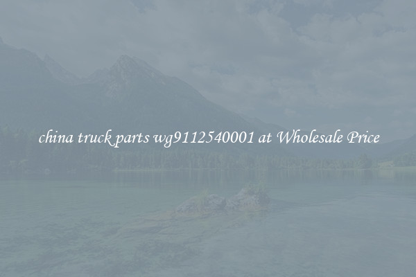 china truck parts wg9112540001 at Wholesale Price