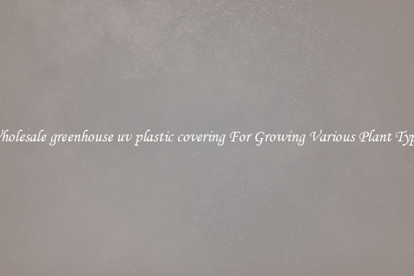 Wholesale greenhouse uv plastic covering For Growing Various Plant Types