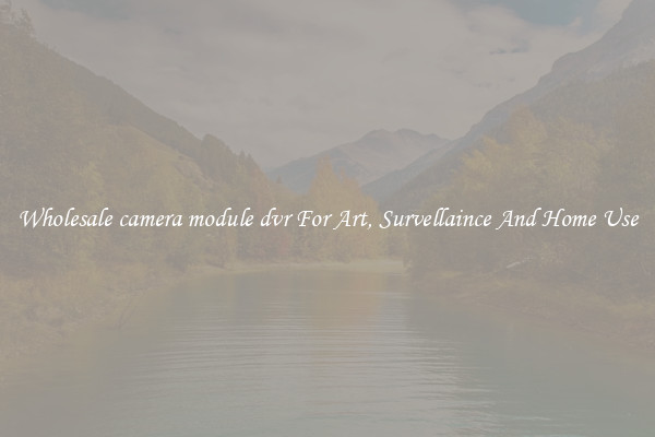 Wholesale camera module dvr For Art, Survellaince And Home Use