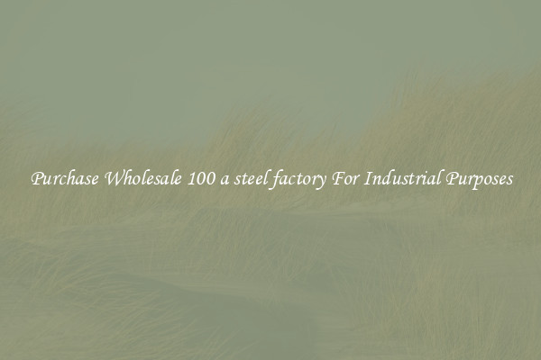 Purchase Wholesale 100 a steel factory For Industrial Purposes