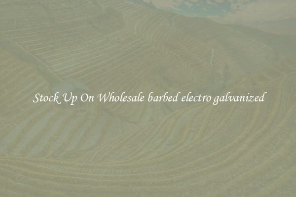Stock Up On Wholesale barbed electro galvanized