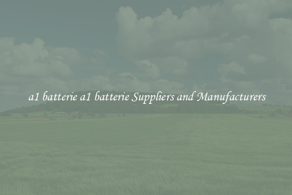 a1 batterie a1 batterie Suppliers and Manufacturers