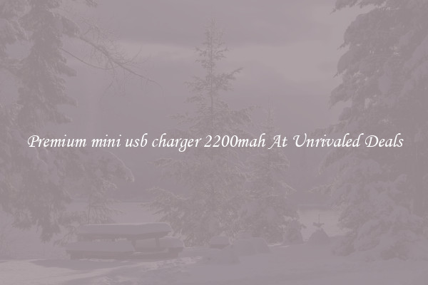 Premium mini usb charger 2200mah At Unrivaled Deals