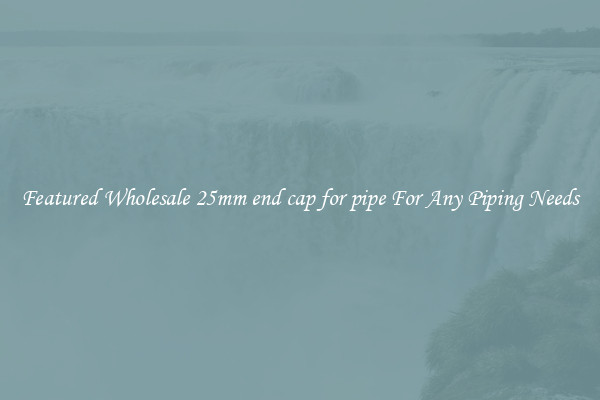 Featured Wholesale 25mm end cap for pipe For Any Piping Needs
