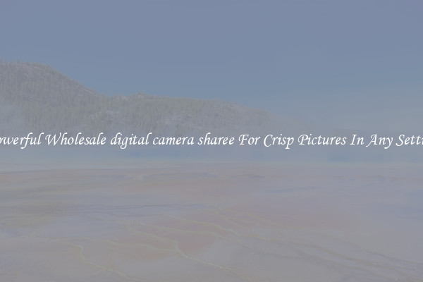 Powerful Wholesale digital camera sharee For Crisp Pictures In Any Setting