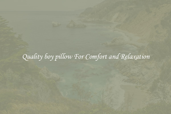 Quality boy pillow For Comfort and Relaxation