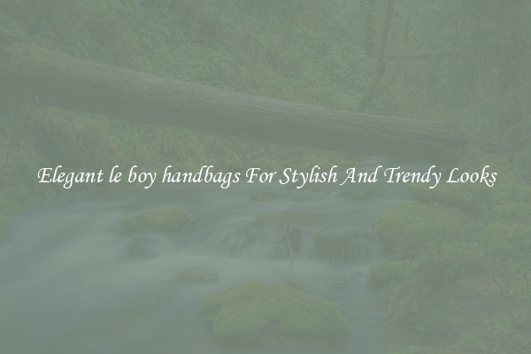 Elegant le boy handbags For Stylish And Trendy Looks