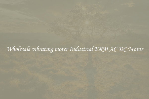 Wholesale vibrating moter Industrial ERM AC DC Motor