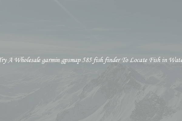 Try A Wholesale garmin gpsmap 585 fish finder To Locate Fish in Water