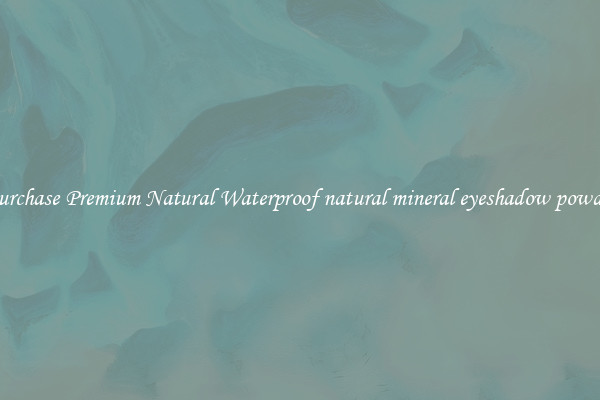 Purchase Premium Natural Waterproof natural mineral eyeshadow powder